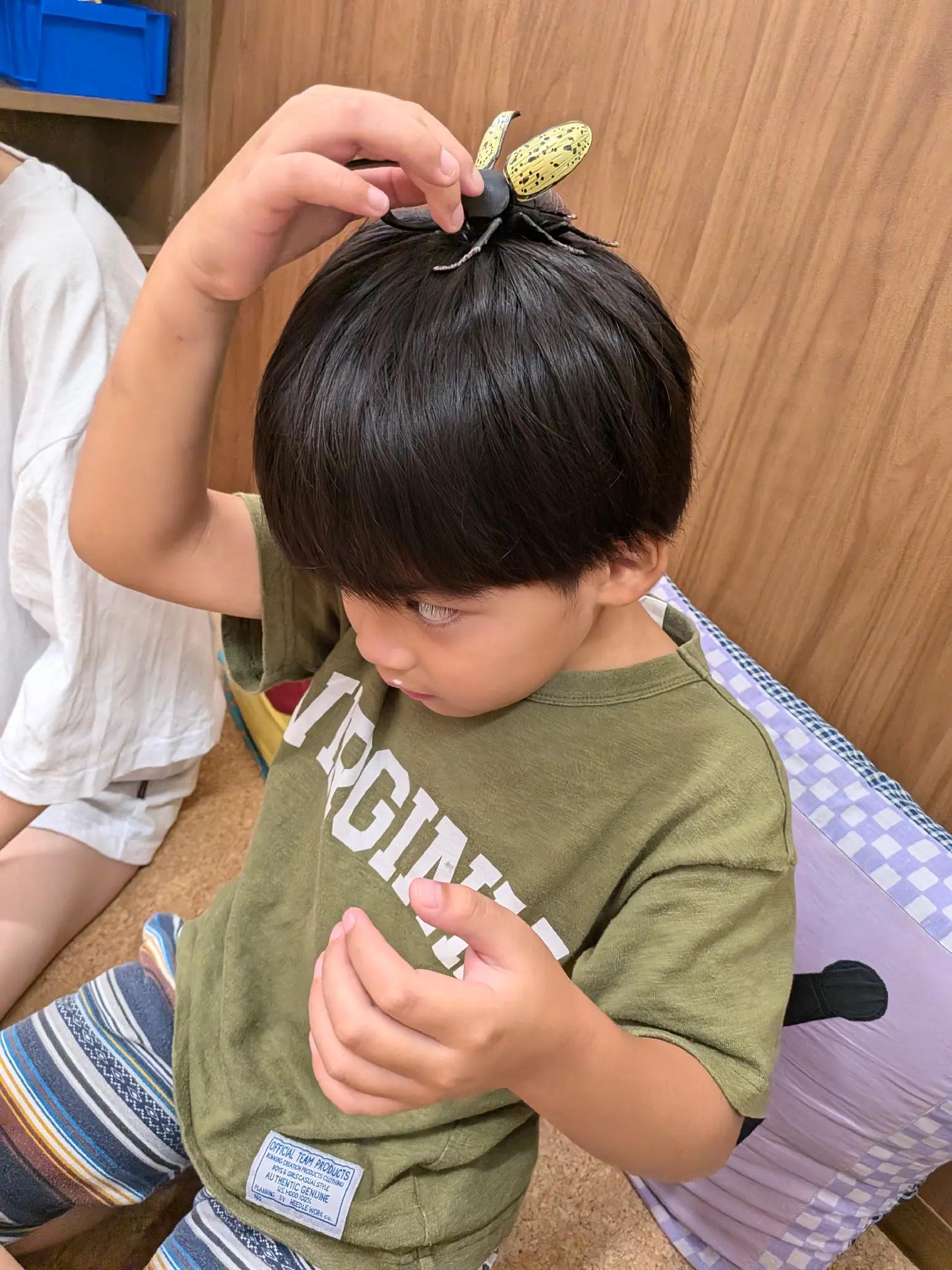 @置かれた場所で咲きなさい🤴金太郎🤴to👸瑠海👸