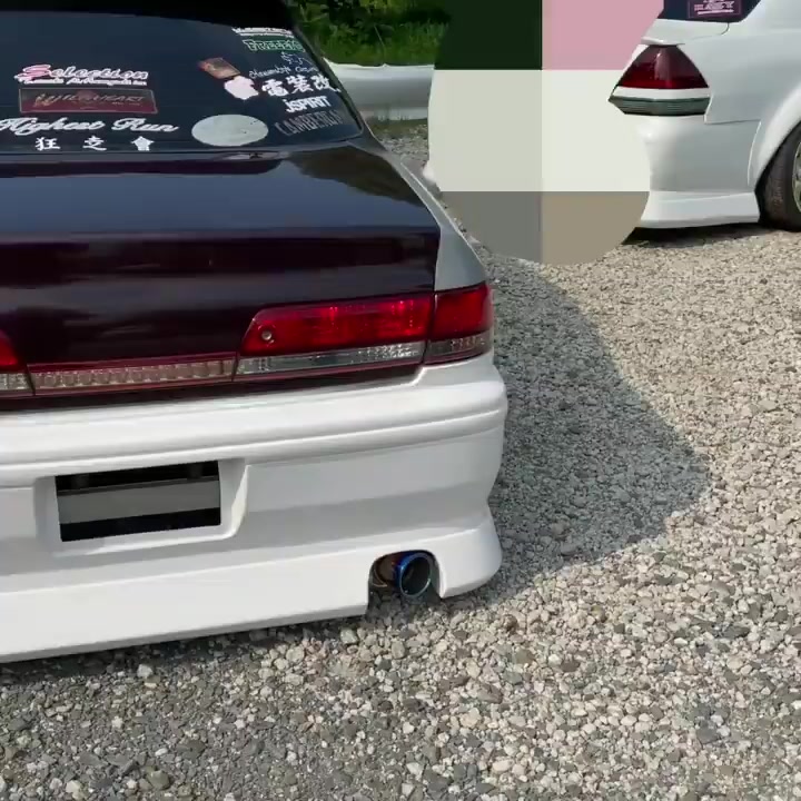 @🕊️
