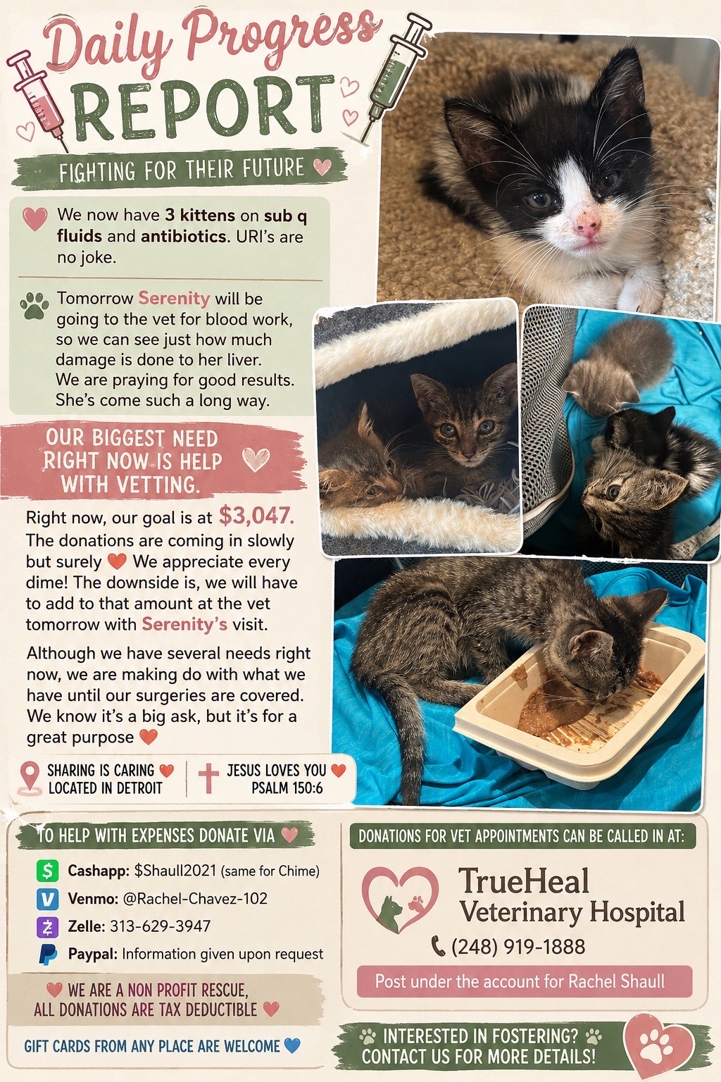 @Shaull Family Rescue