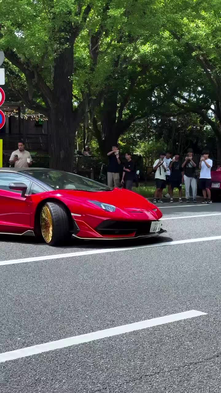 @ʐʏʀ🛞ռ