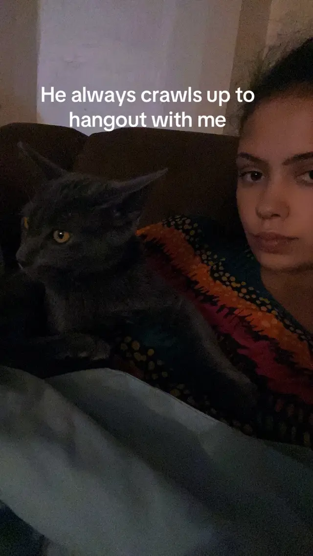 @catmomjailee123