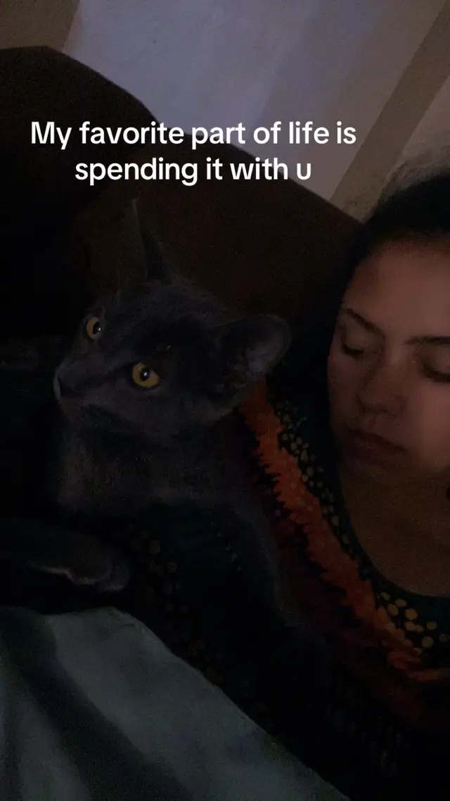 @catmomjailee123