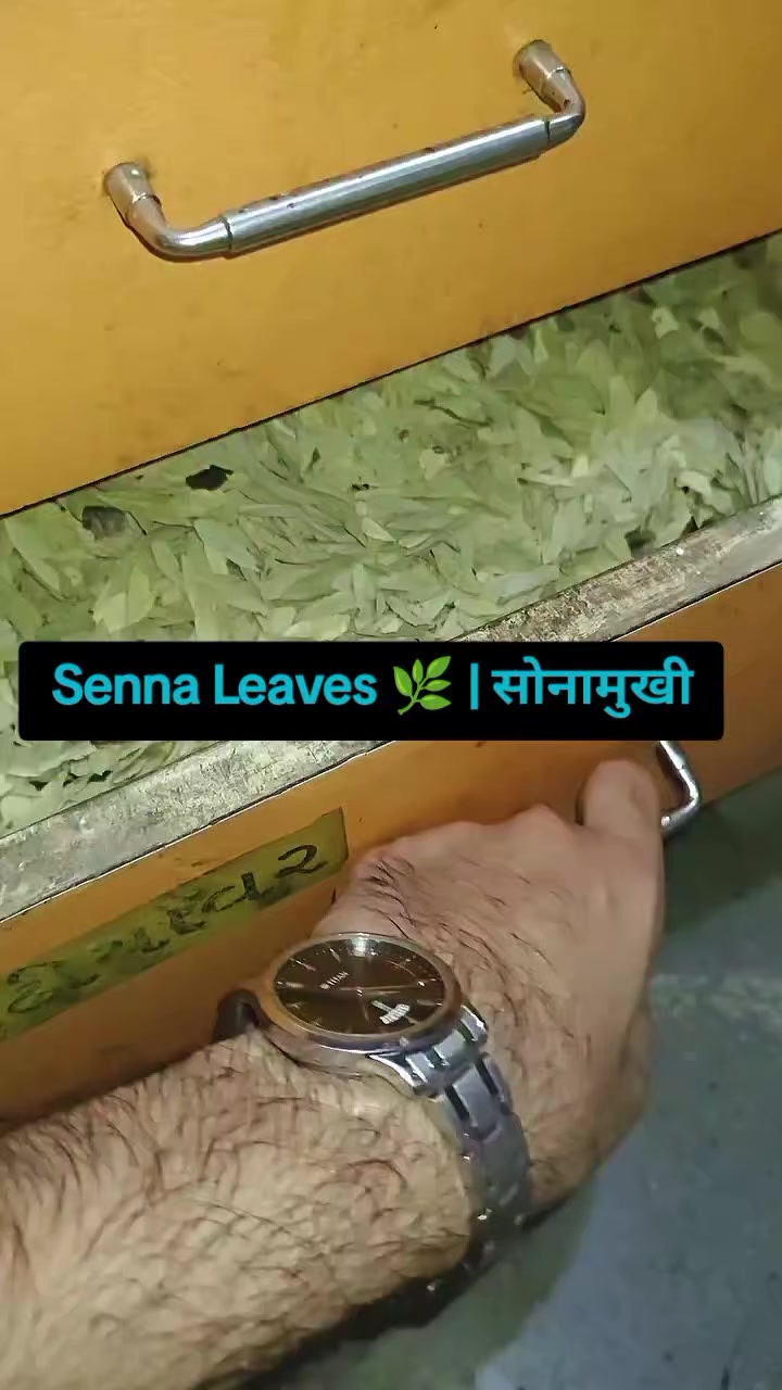 @Subhash.Talreja