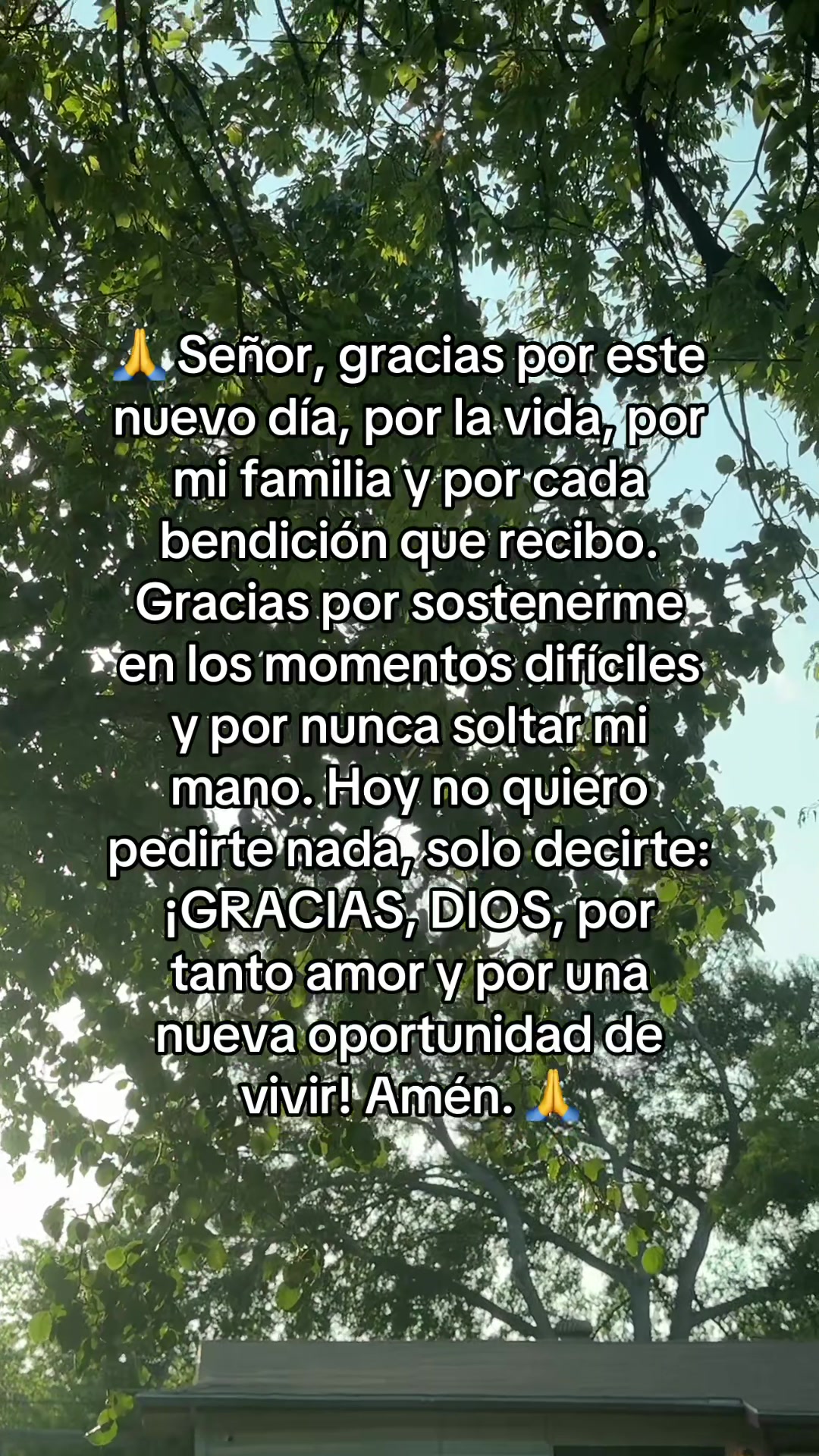 @🌻🌻👑 MARISOL MORAN 👑 🌻🌻