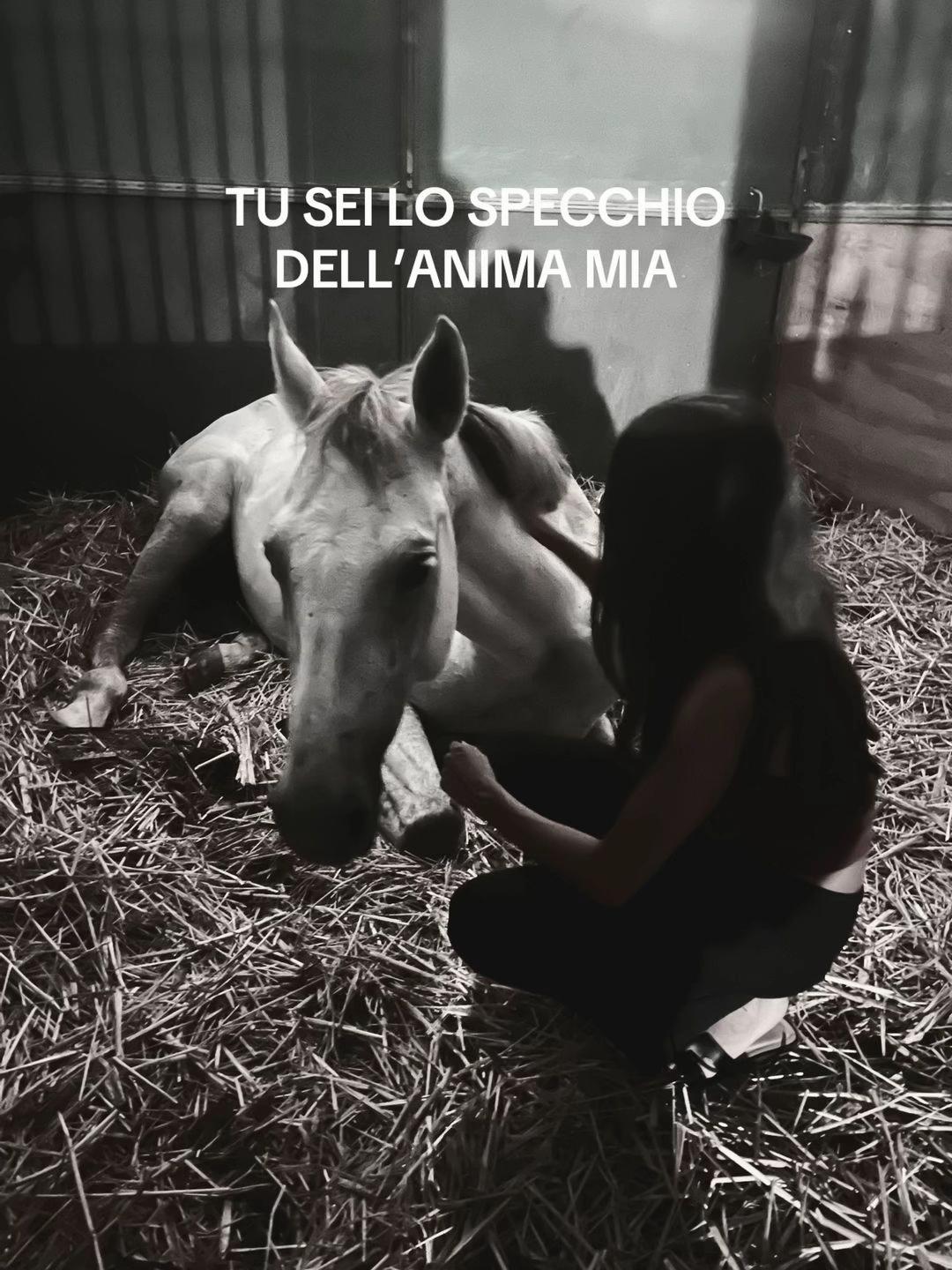 @giulia