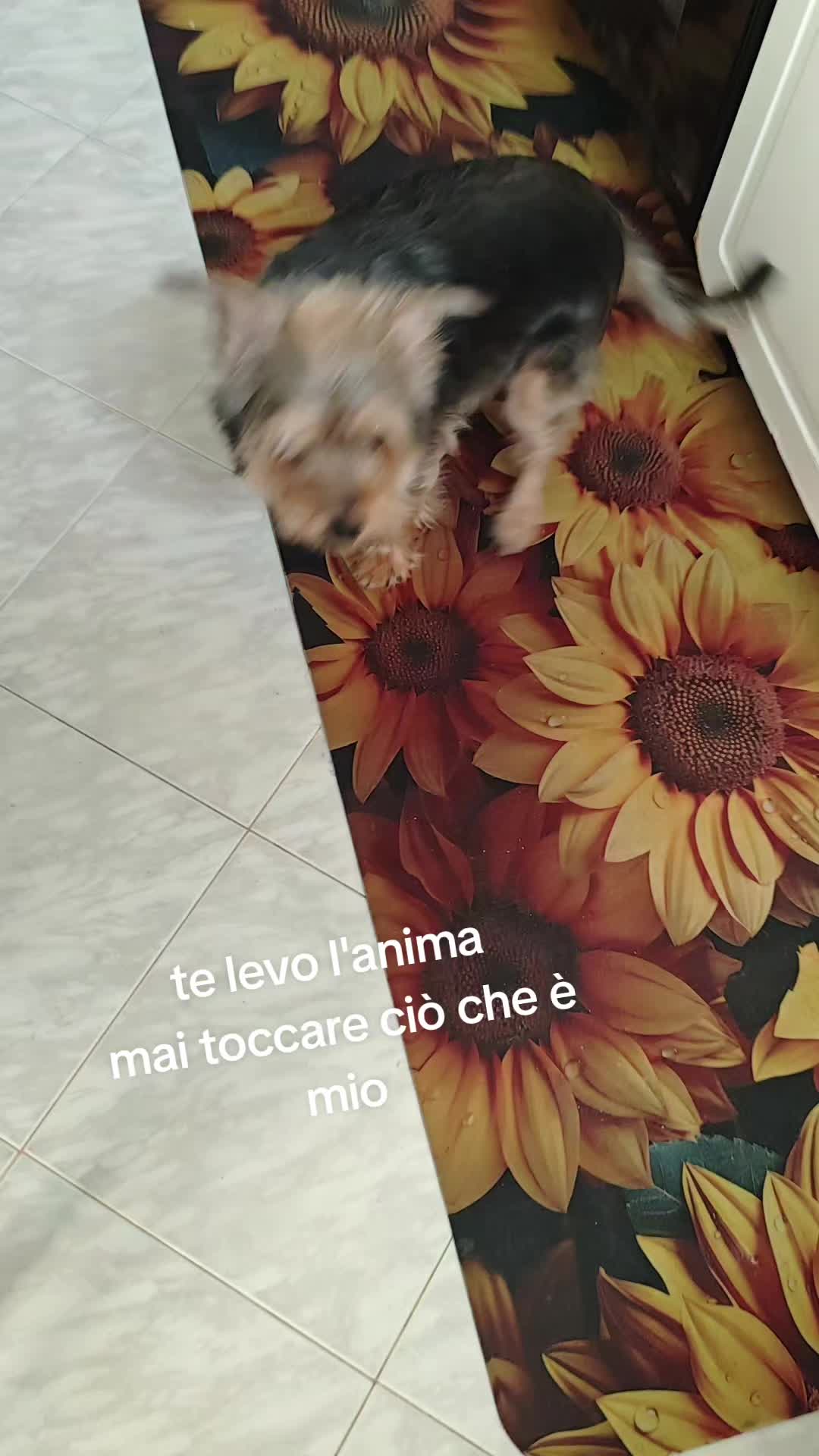 @Simonetta ❤️