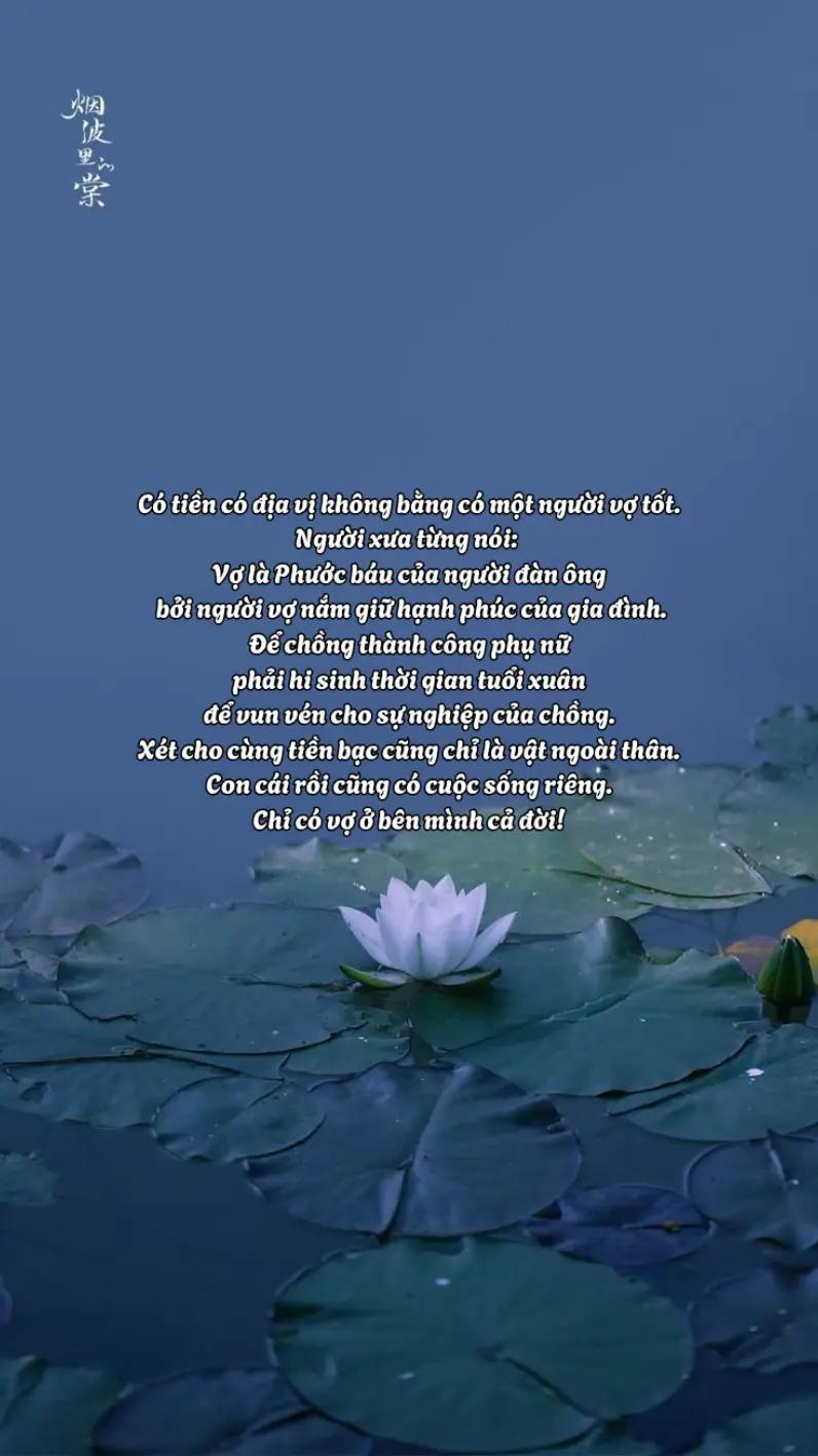 @hạt giống t&acirc;m hồn🌱