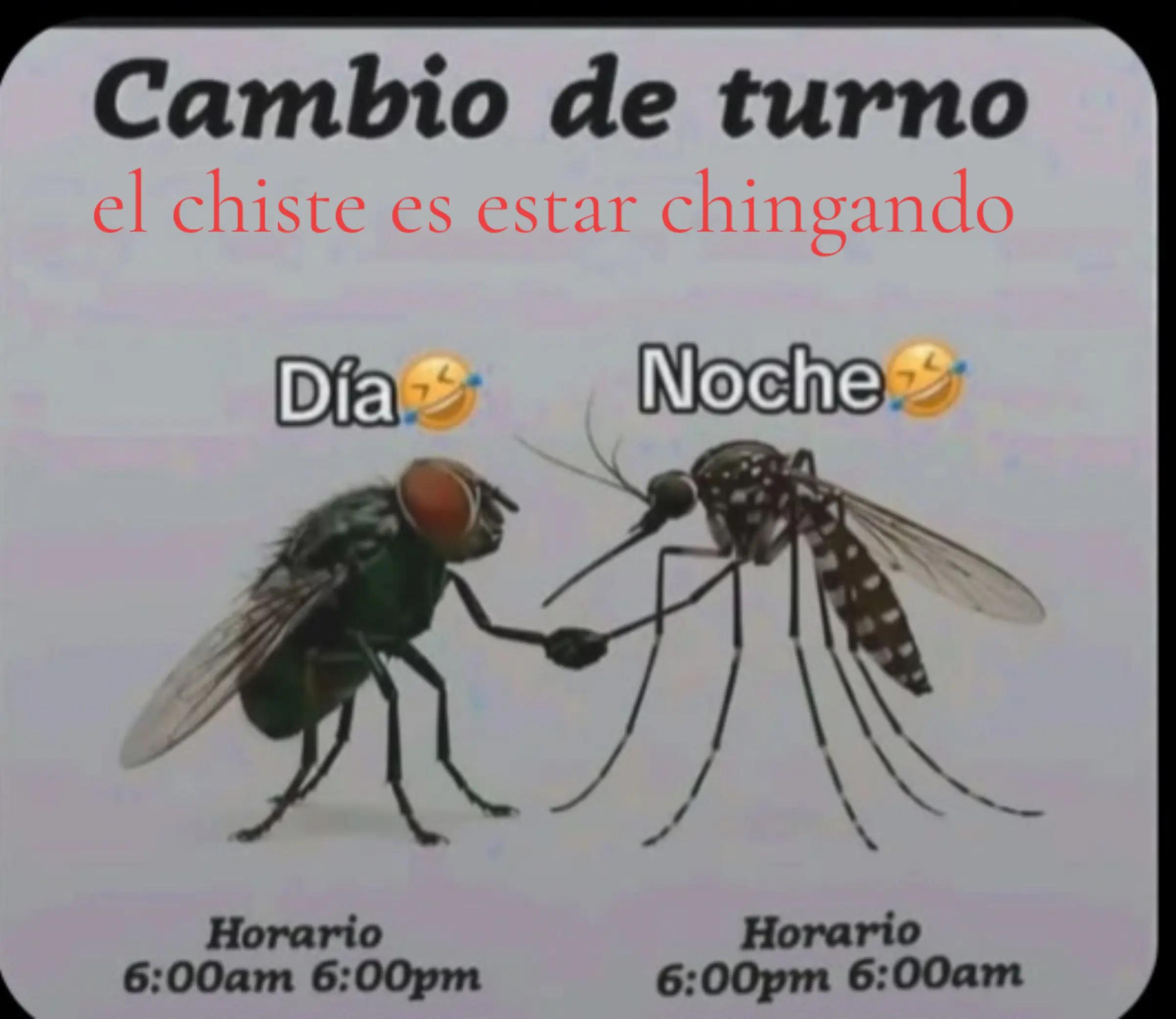 @Esmeralda Montoya