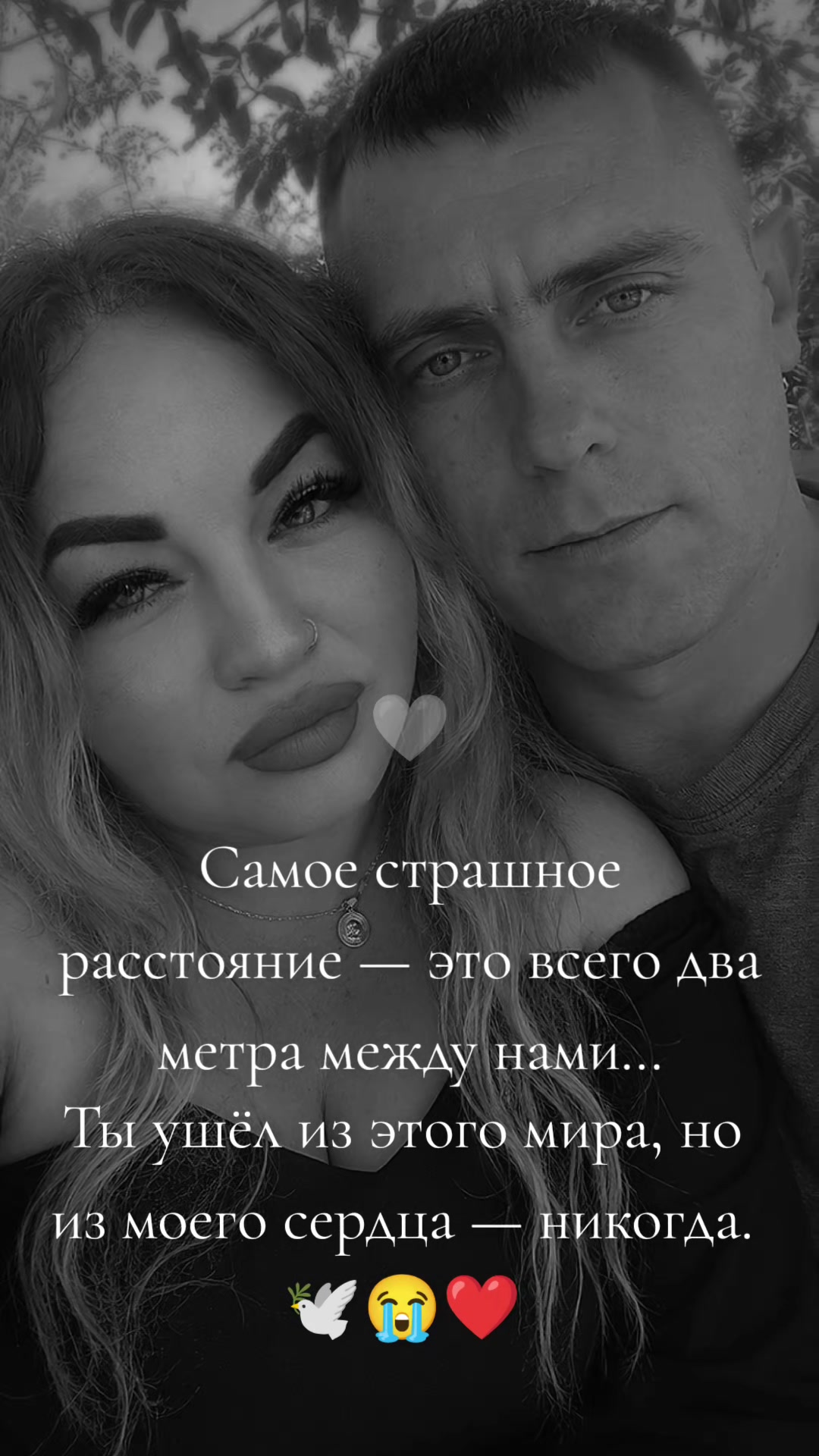@tvoe shaste