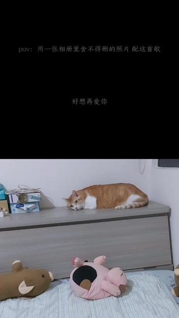 @吳儀