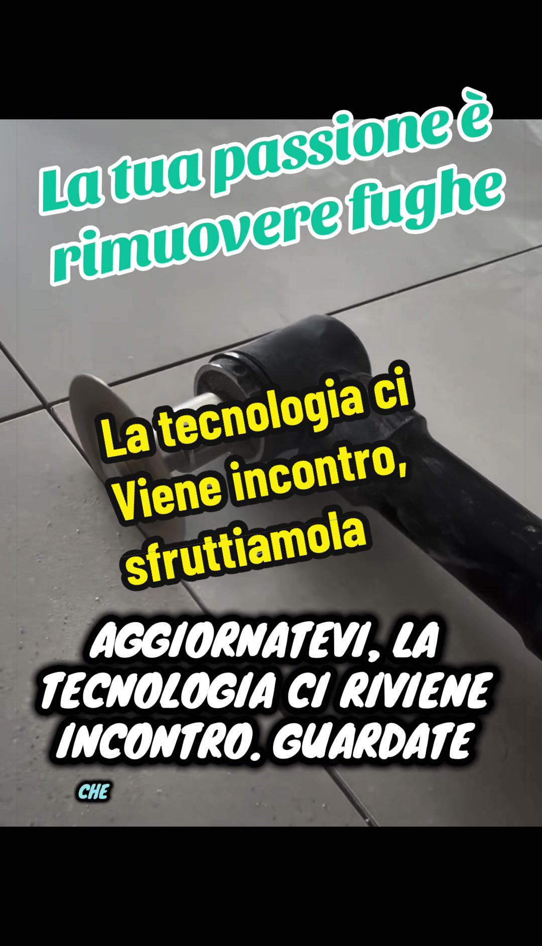 @Alessandro Cuomo ♌️