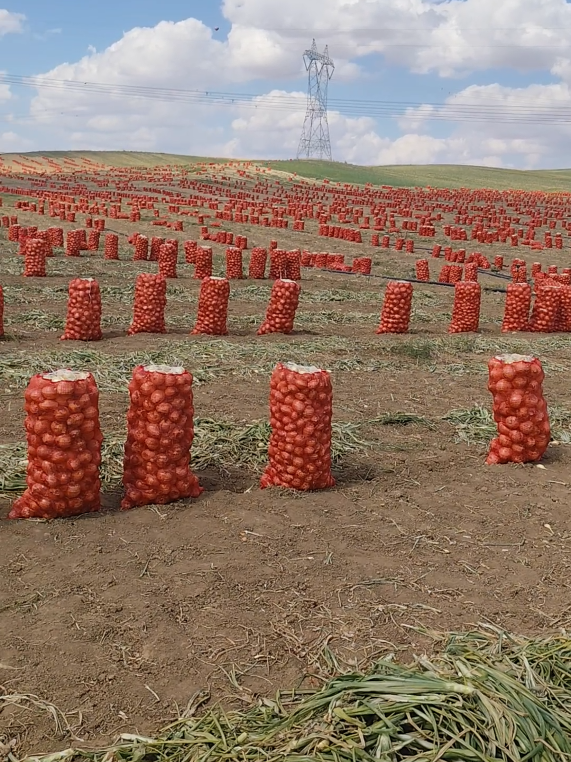@𖤍عابد𖤍