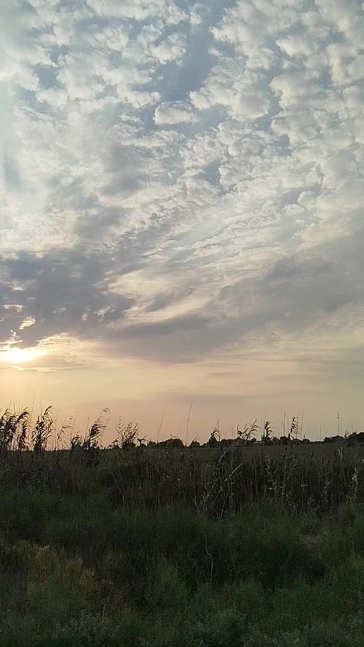 @4.4.4