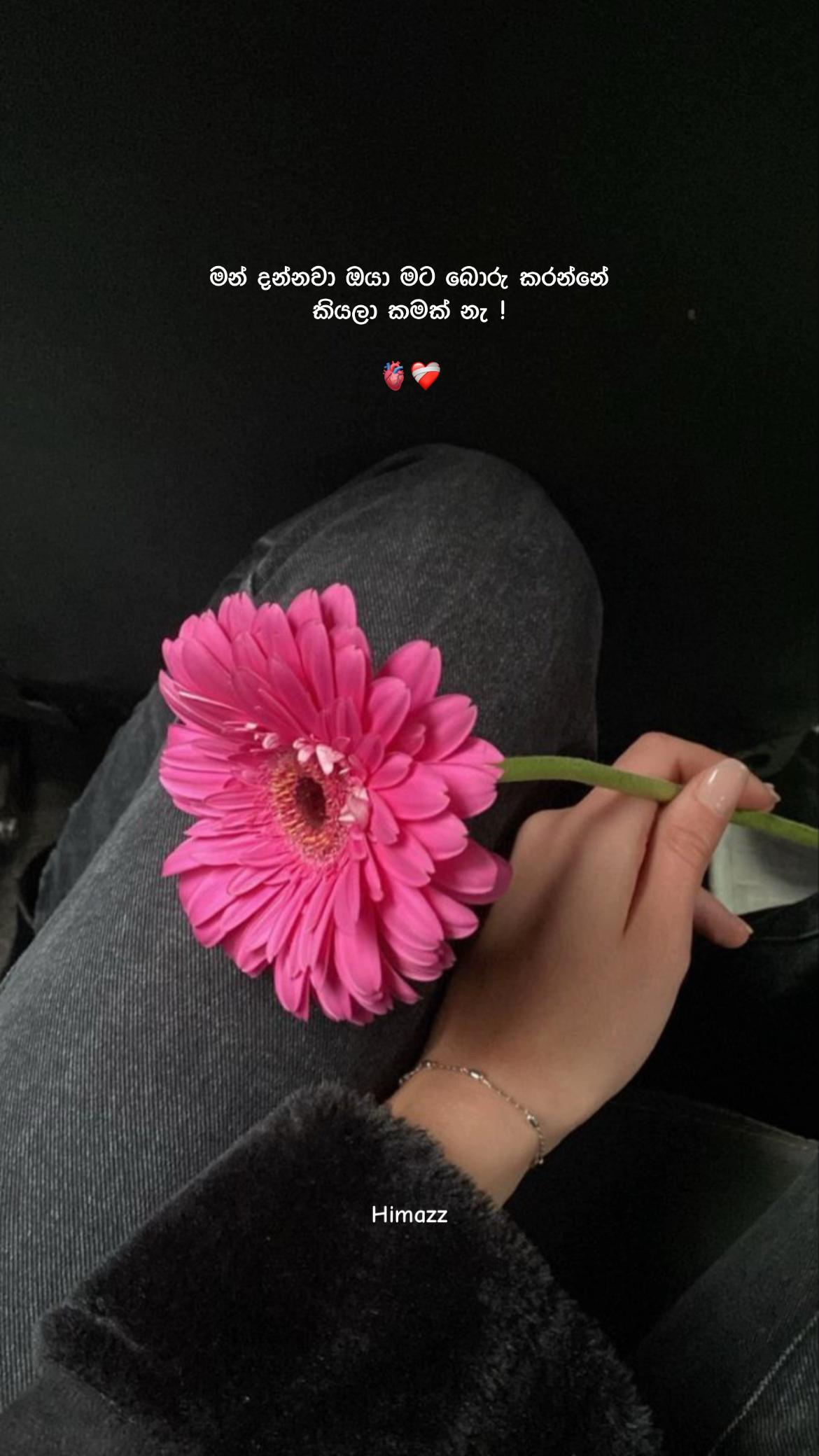 @Himazz 🧸