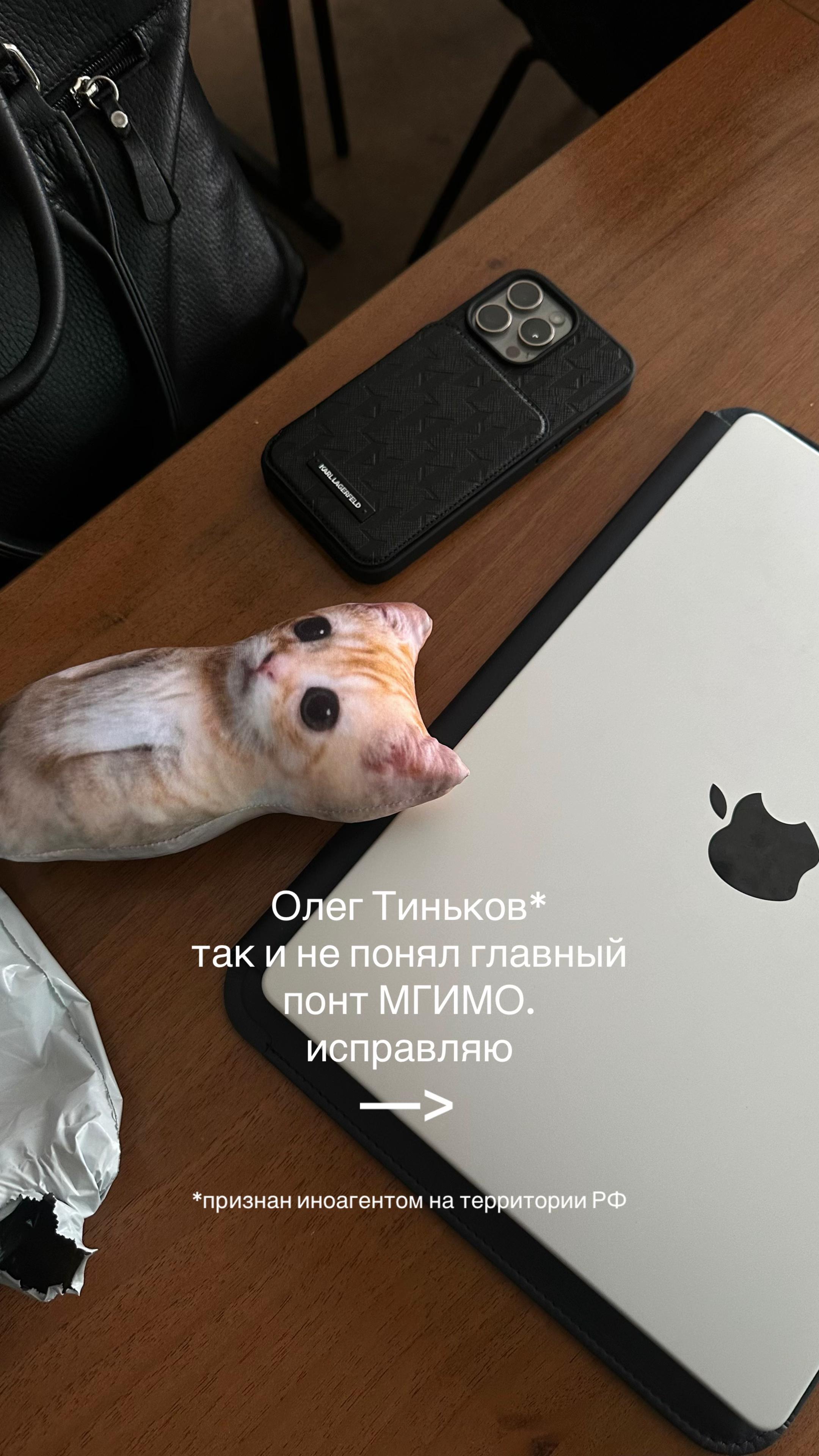@тгк crow talks // mgimo 🕊️