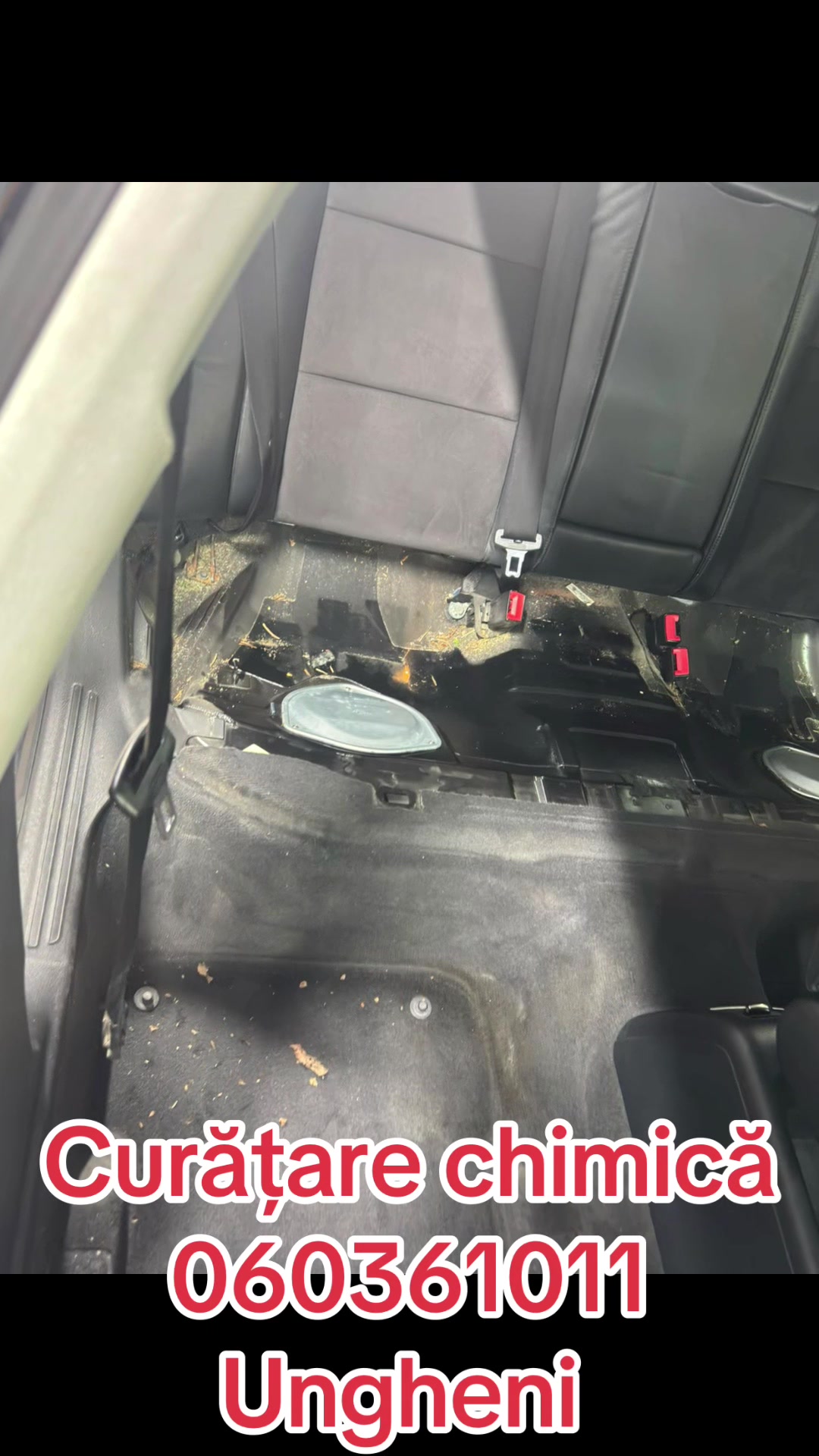 @autofresh.md