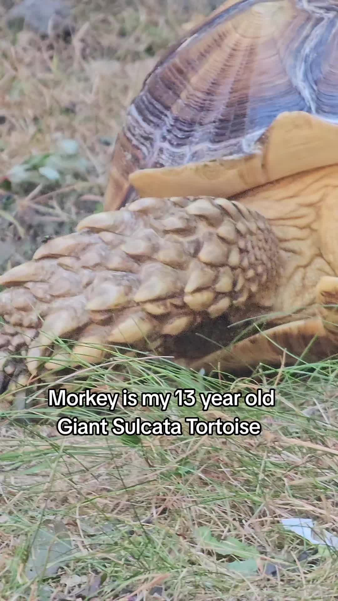 @Ryan aka Tourettes Lad