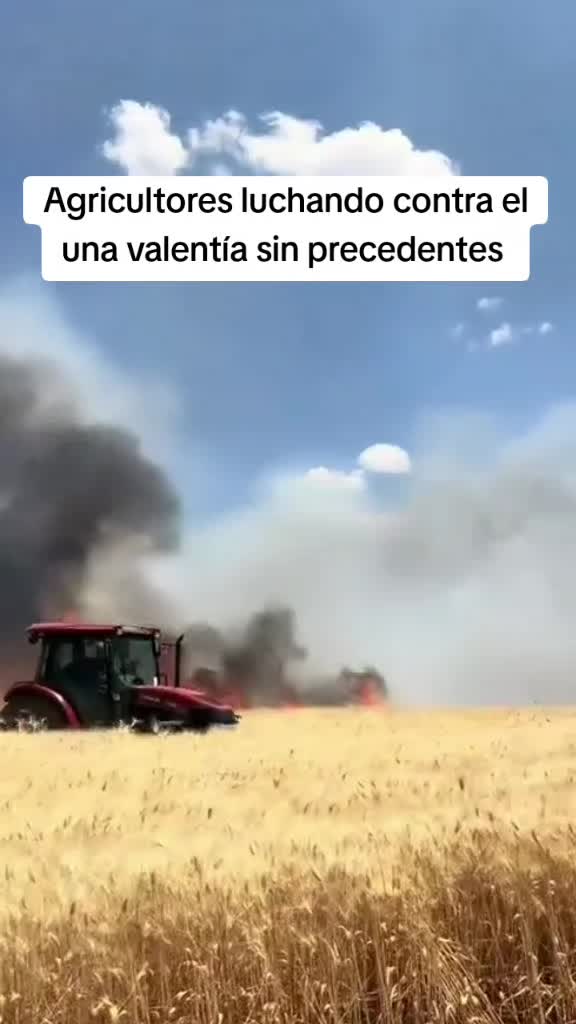@javiersanchezlibra