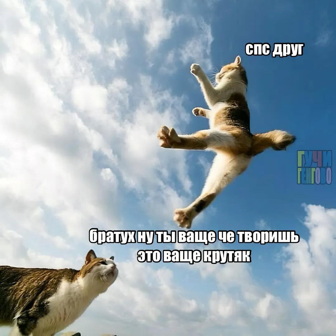 @😺