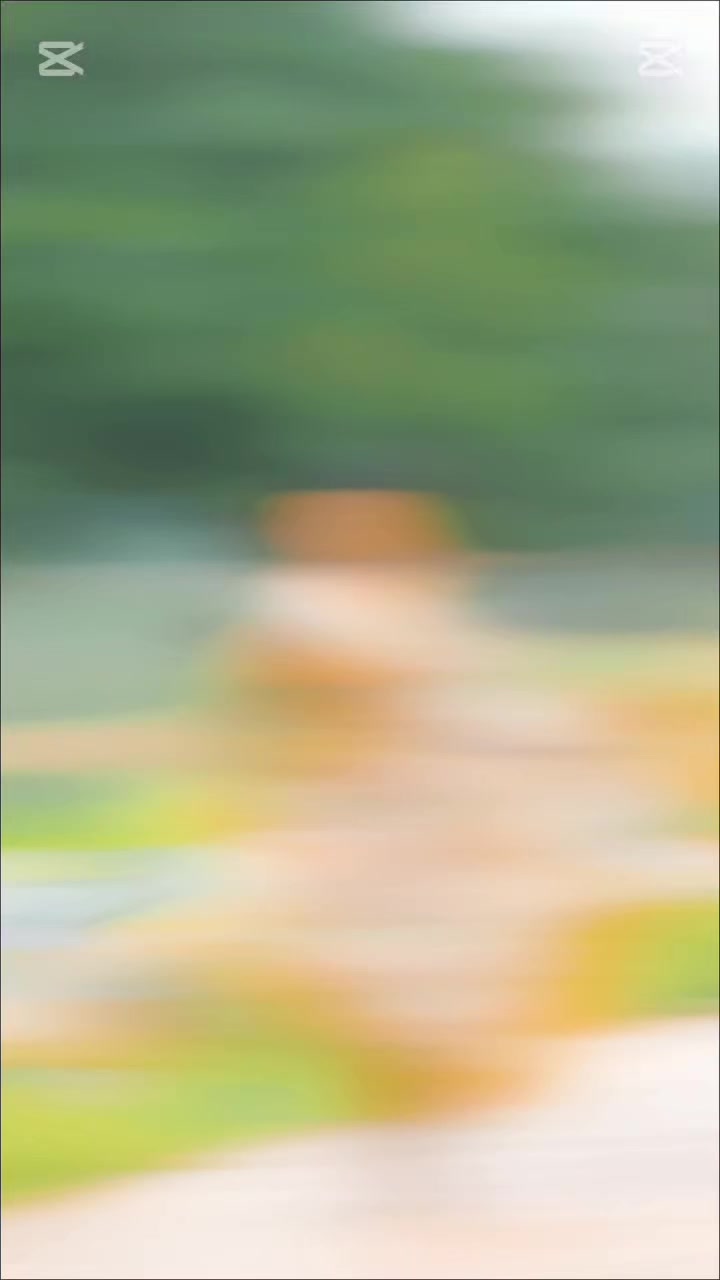 @@𝙙𝙖𝙣𝙘𝙚𝙧𝘽𝙞𝙨𝙝𝙖𝙠𝙖🌈