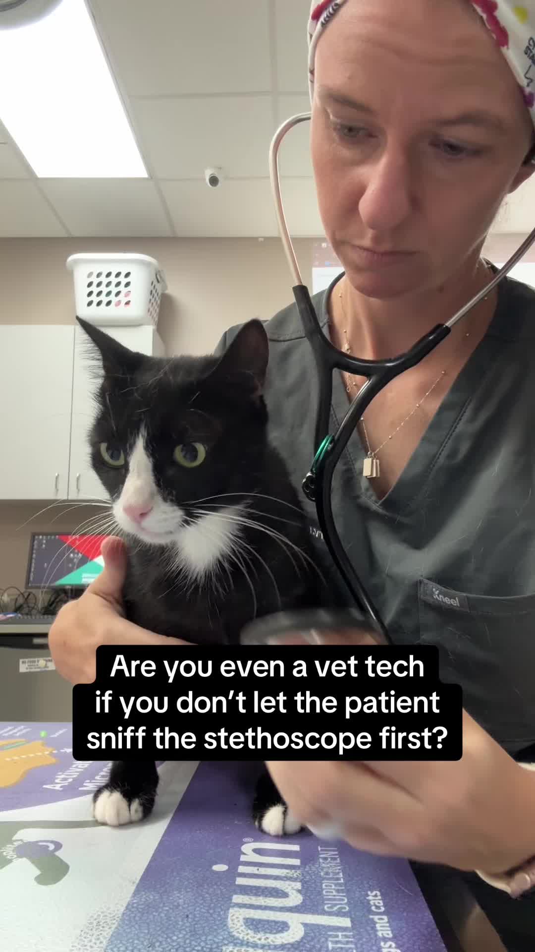 @sarahparsonslvt