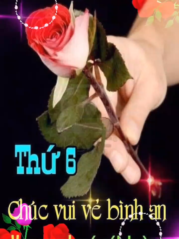 @Huỳnh Văn Được