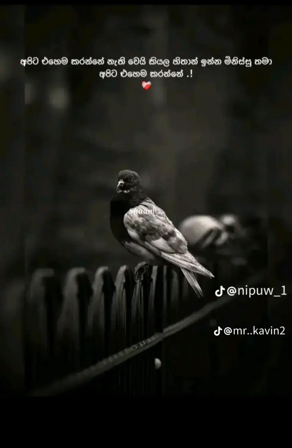 @꧁༒☬ᶜᴿᴬᶻᵞk&iacute;llє&reg;&trade;r☬༒꧂