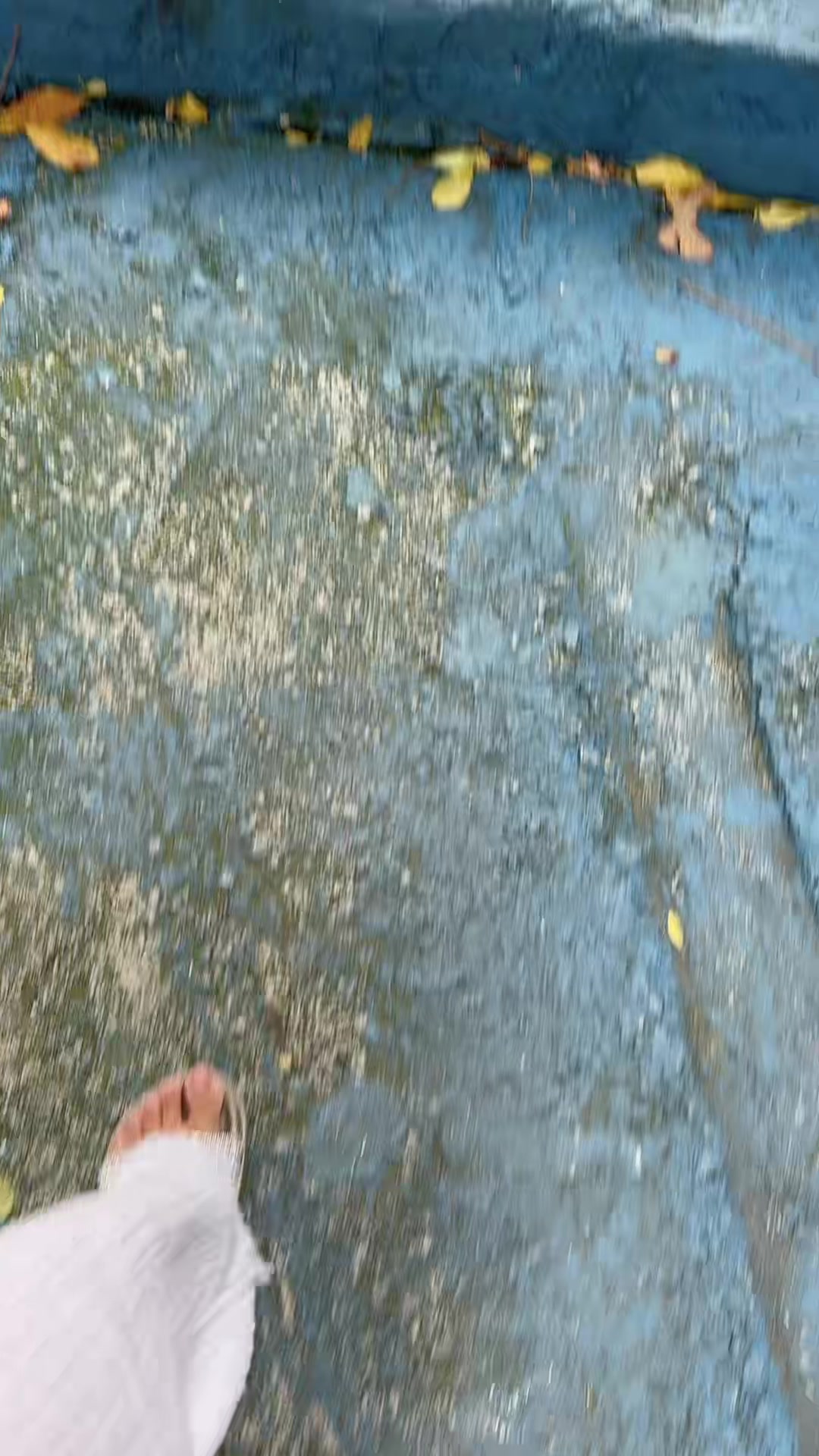@songulky3434
