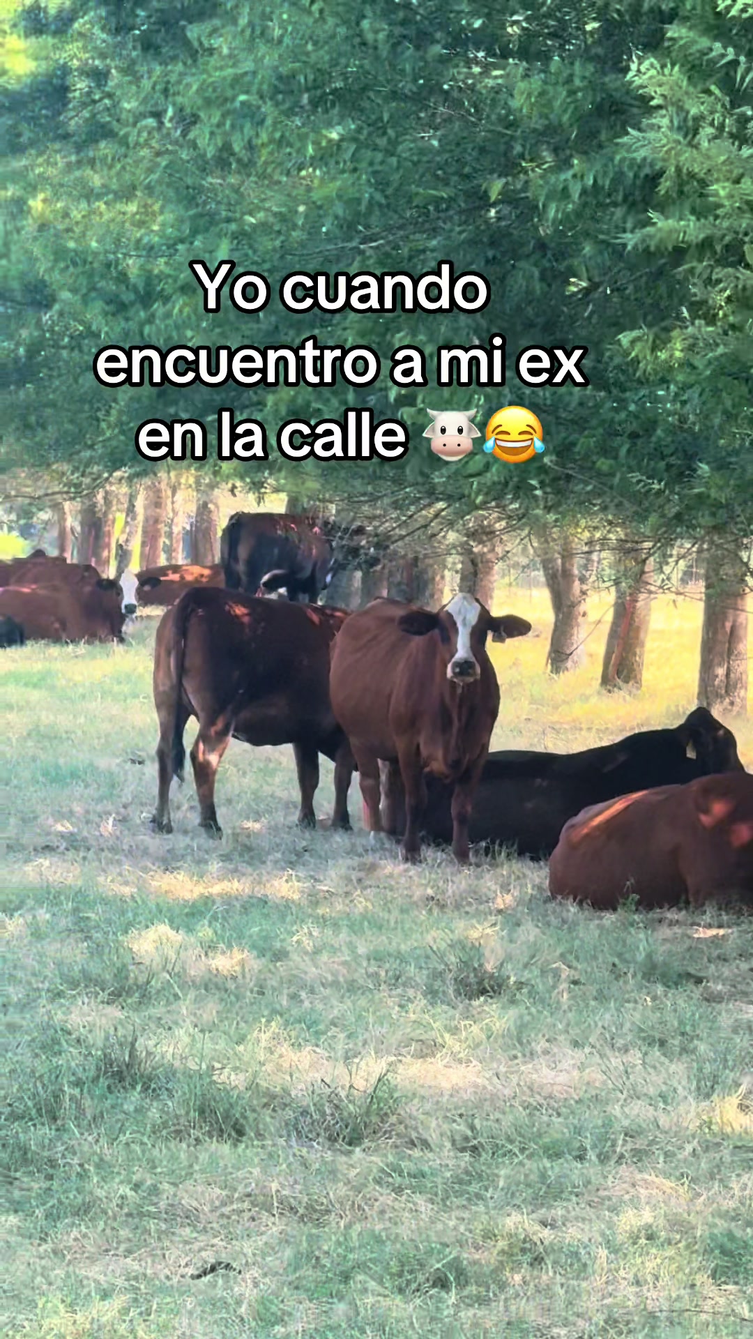 @Jairo🇺🇸🇲🇽❤️🌵🤠