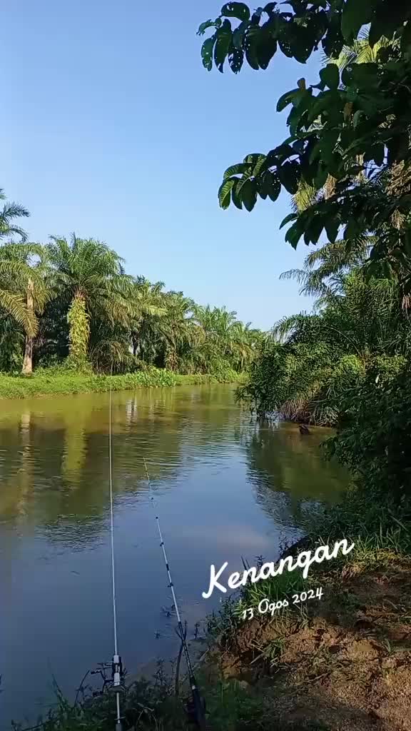 @Toman_Rimba_ll