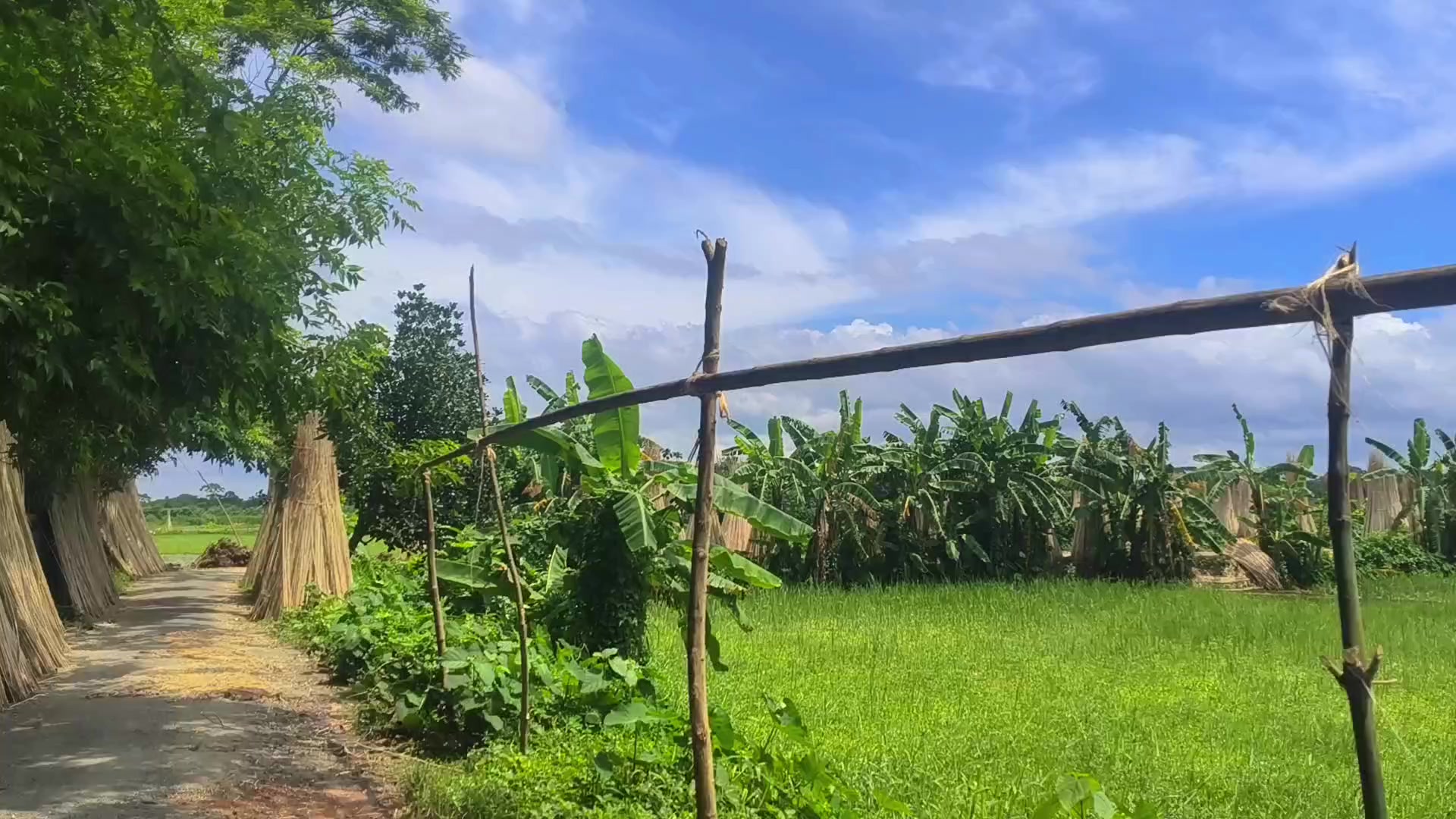 @🍃🕊️ &rdquo;প্রকৃতির ছোঁয়া&rdquo; 🕊️🍃