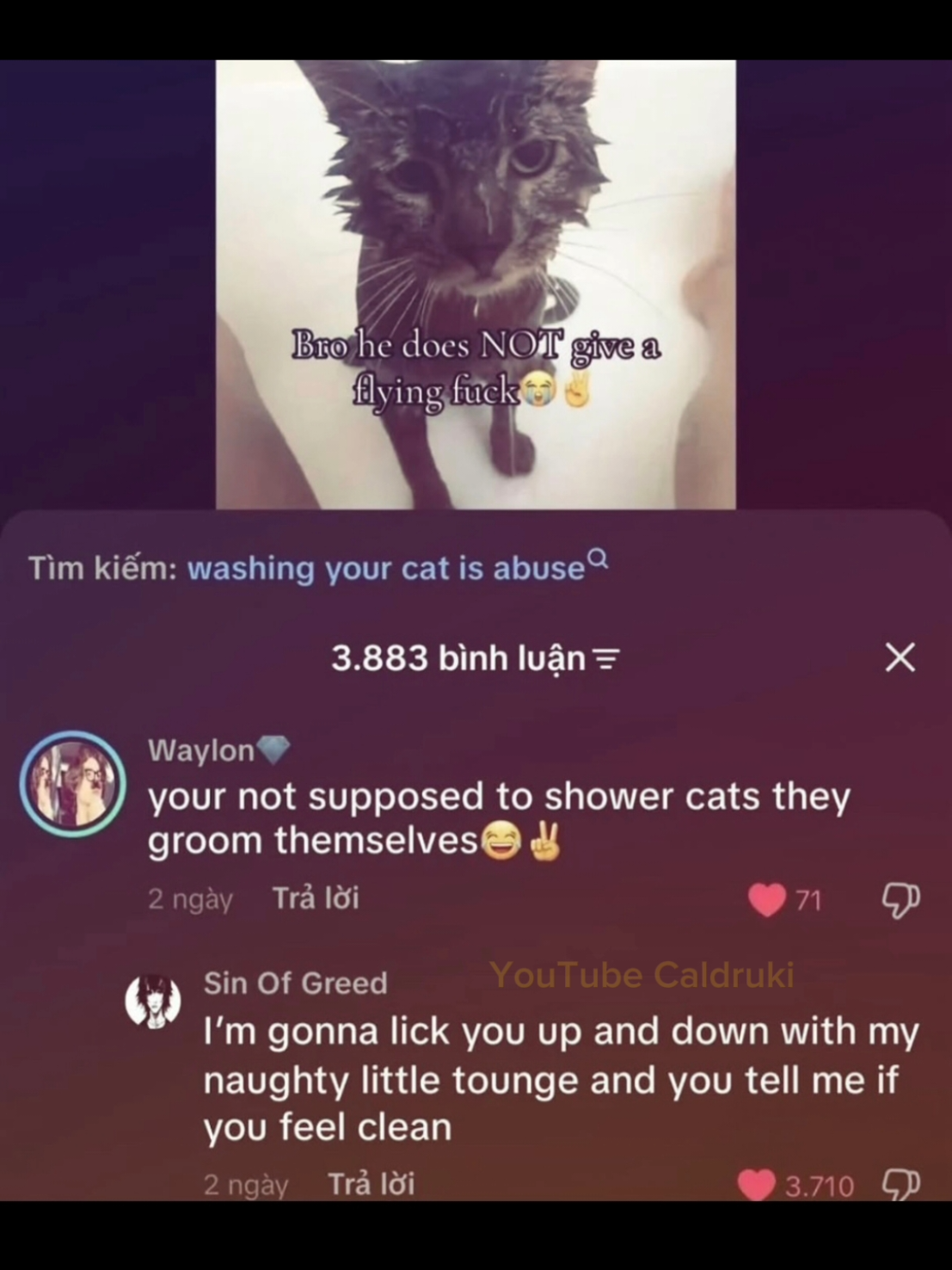 @Caldruki