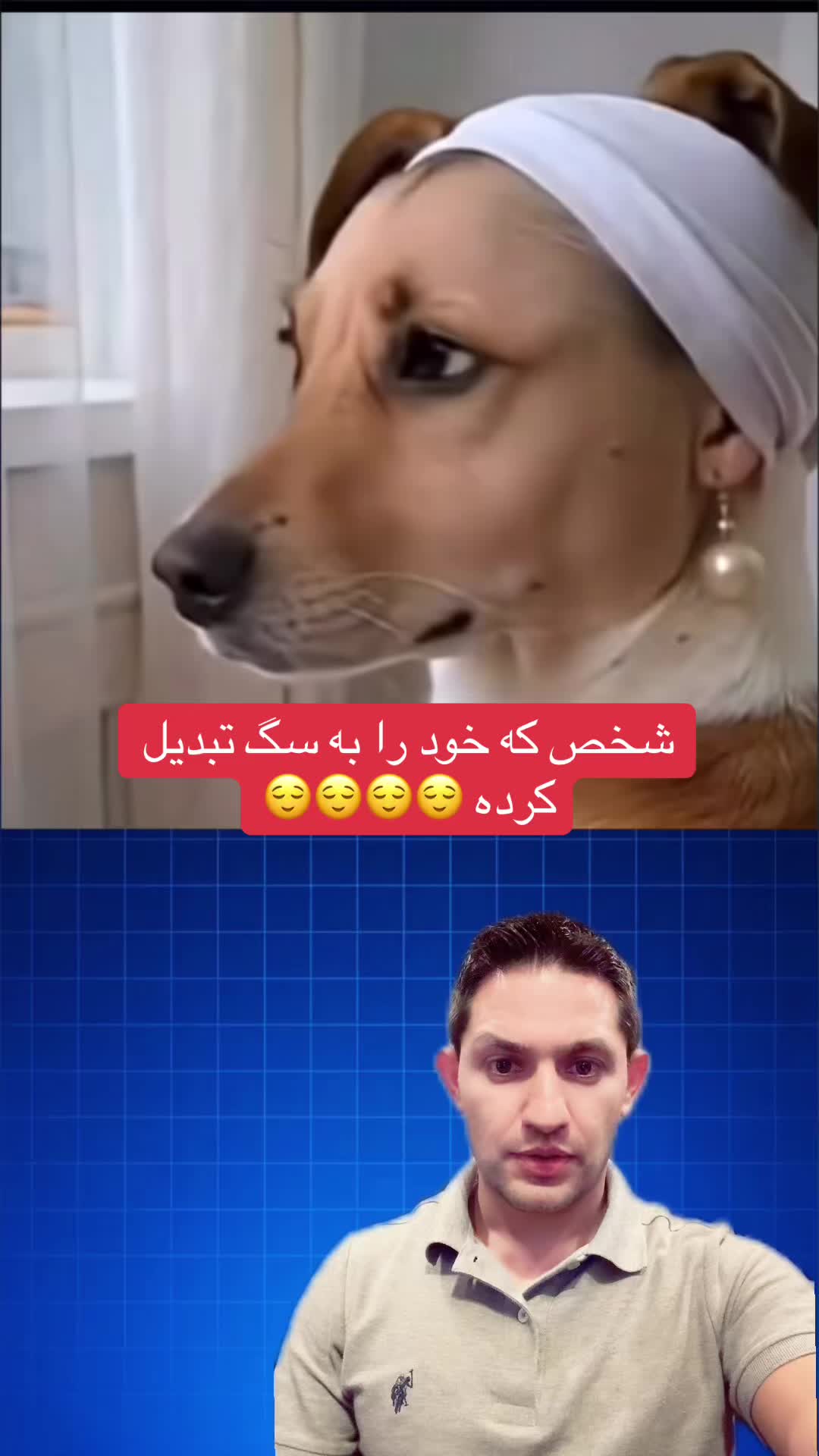 @Amazing Videos
