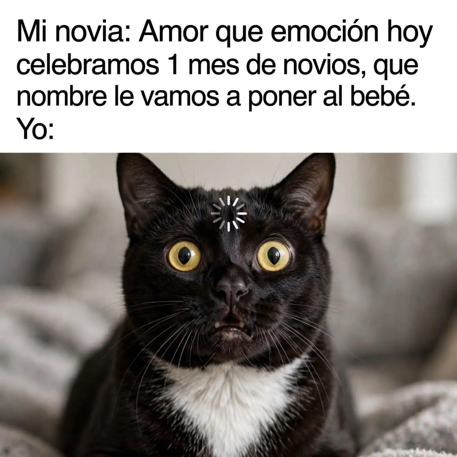 @Giselle C&eacute;spedes