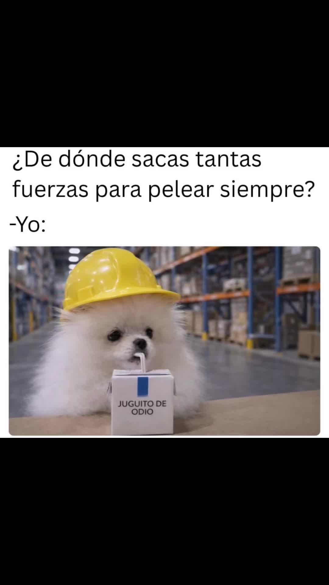 @Rebelde la Reina