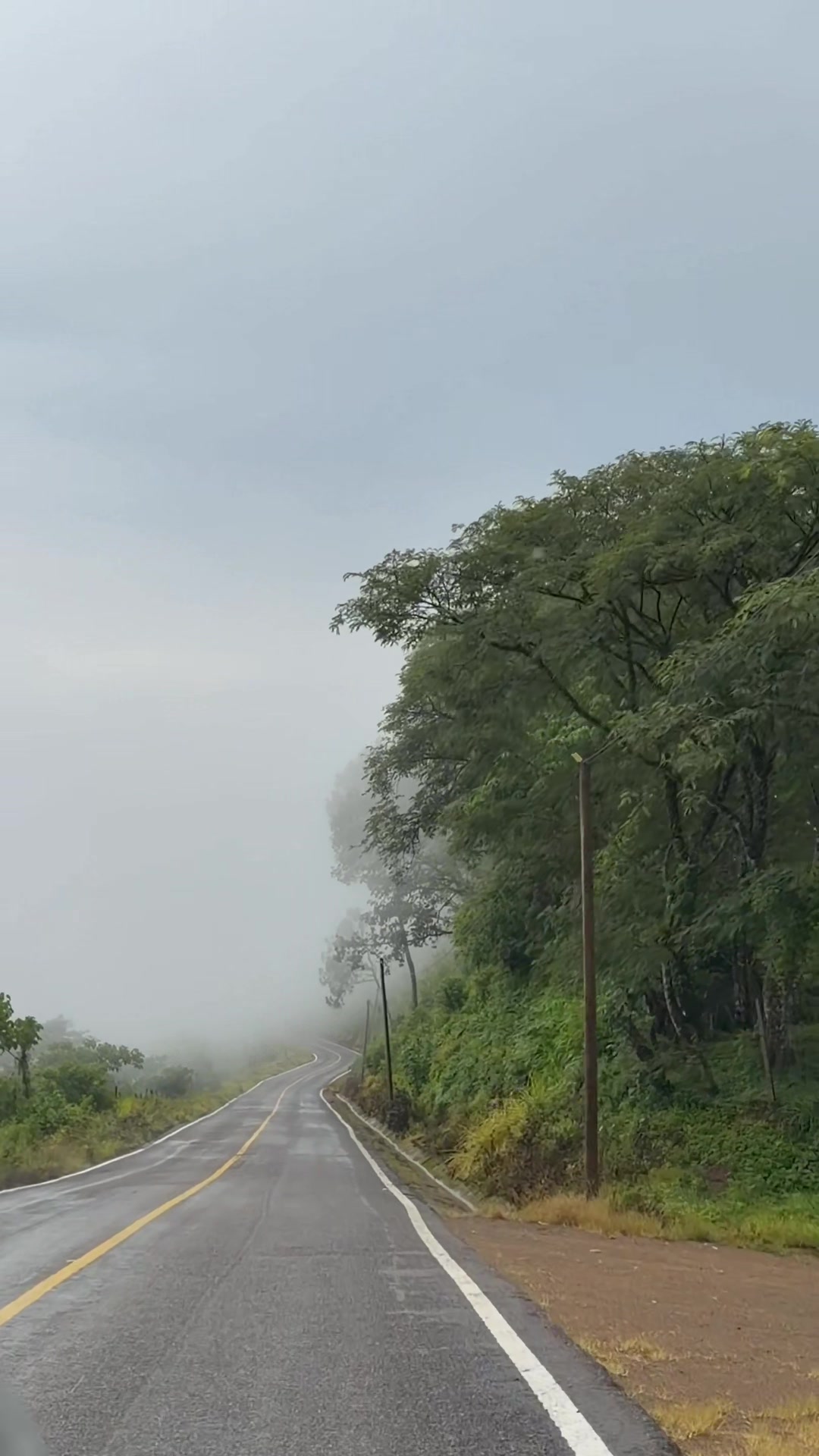 @Nature☘️🍀🍃🍁🌿