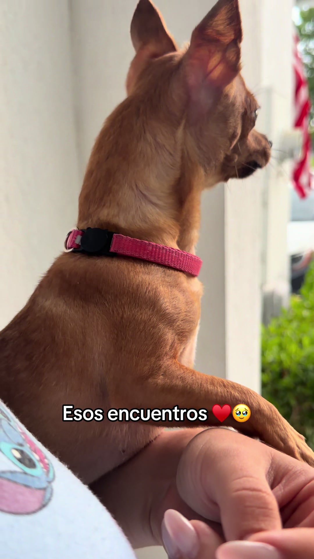 @Gloria Hernandez