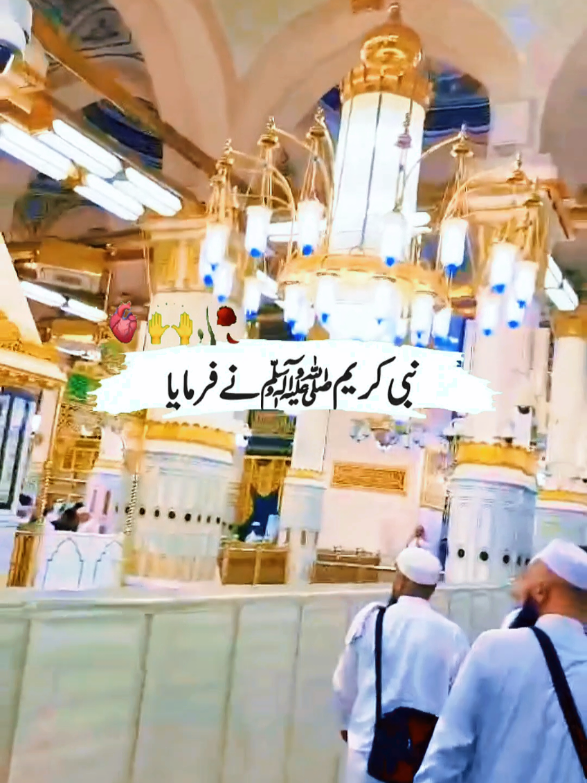 @Hamza Mini World
