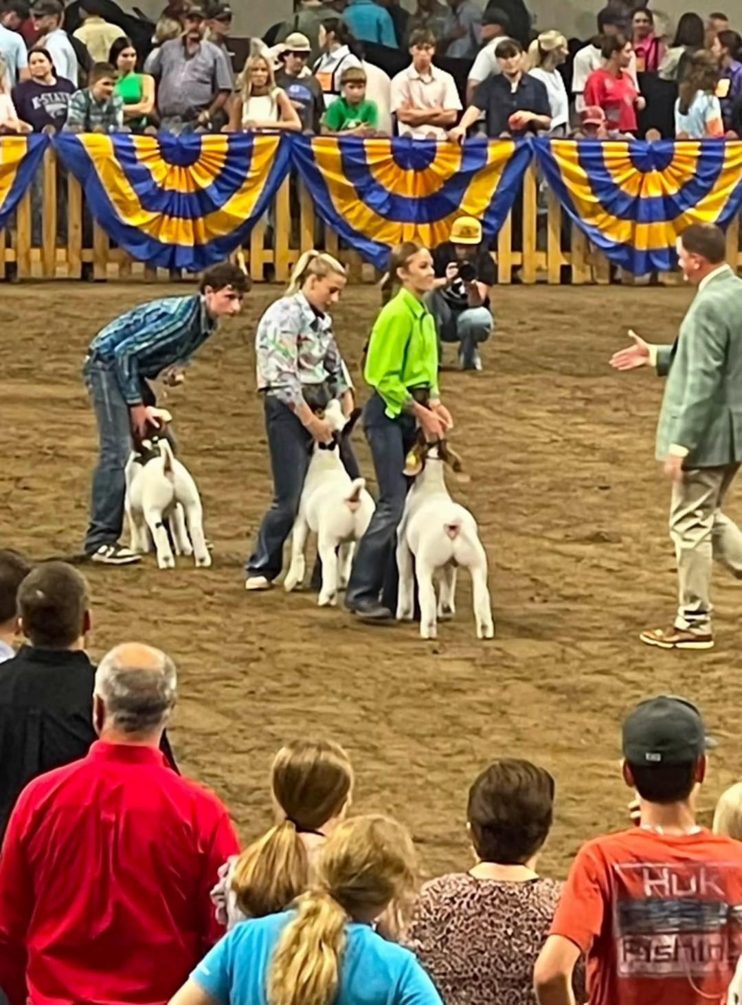 @Matt Lautner Cattle USA
