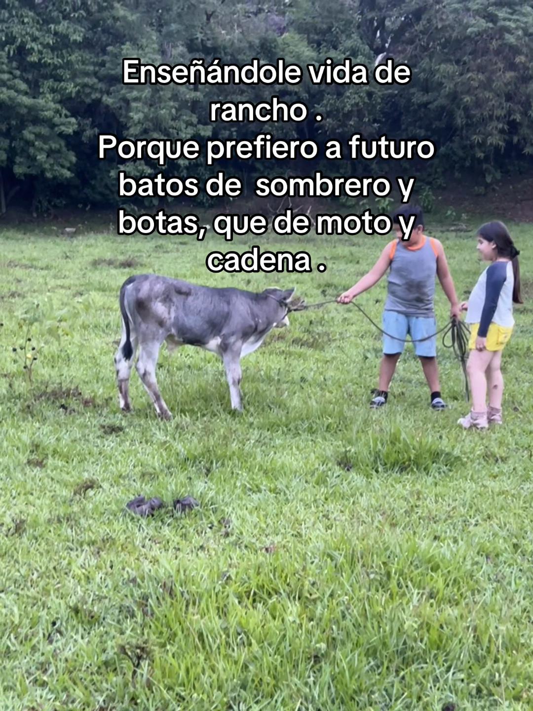 @ElsaYariela