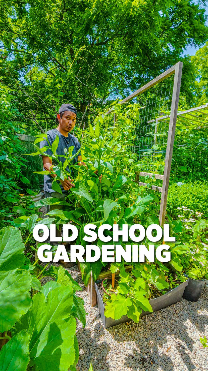 @Planted in the Garden