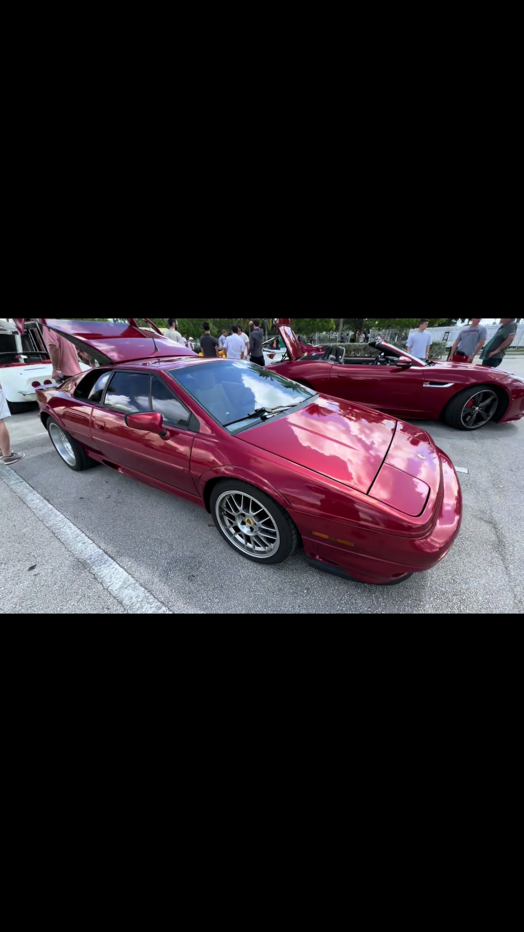 @Biscayne Supercars