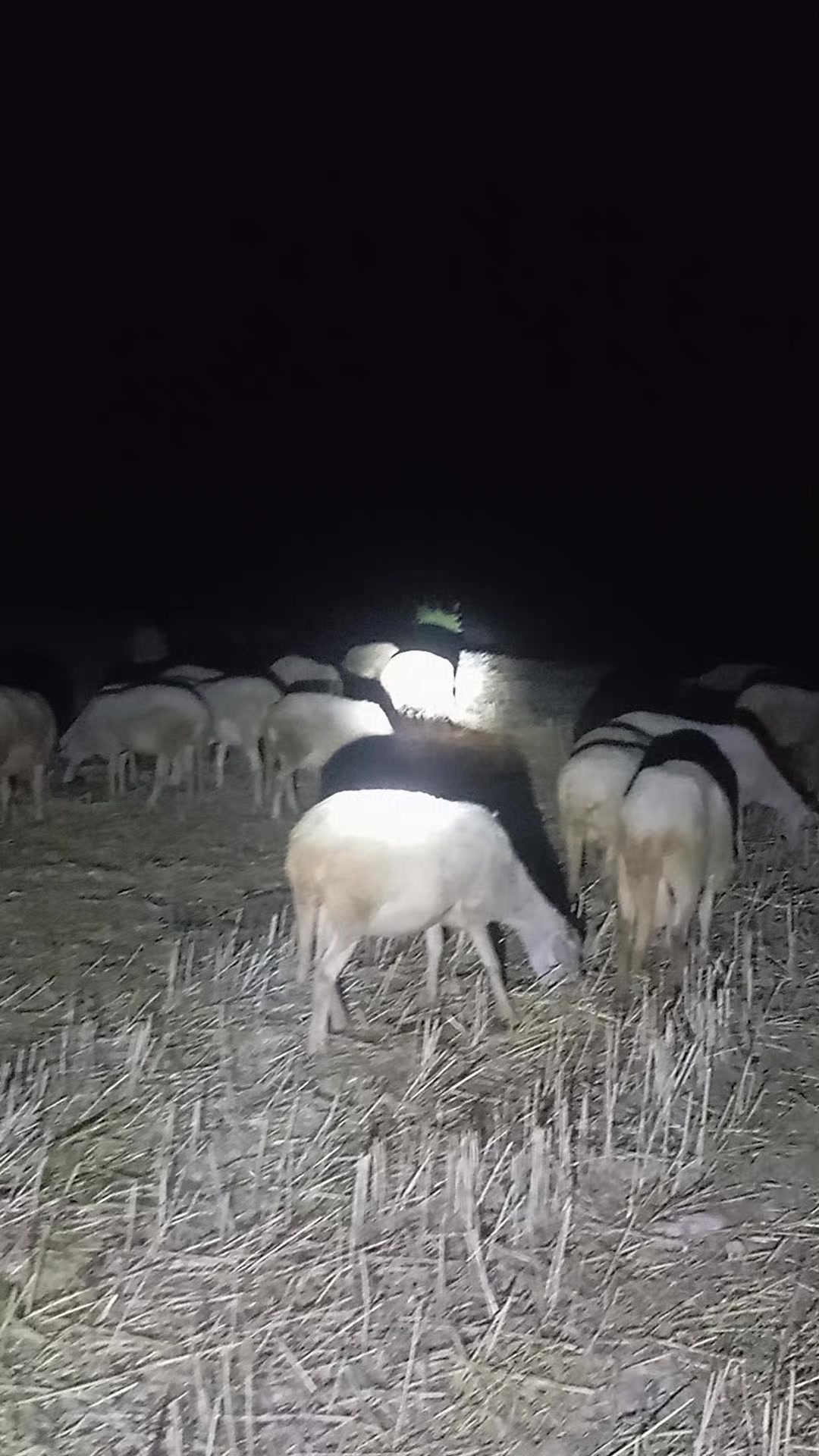 @Furkan STLMŞ 03