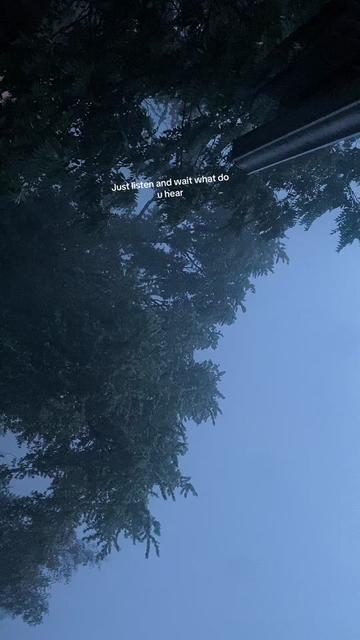 @catmomjailee123