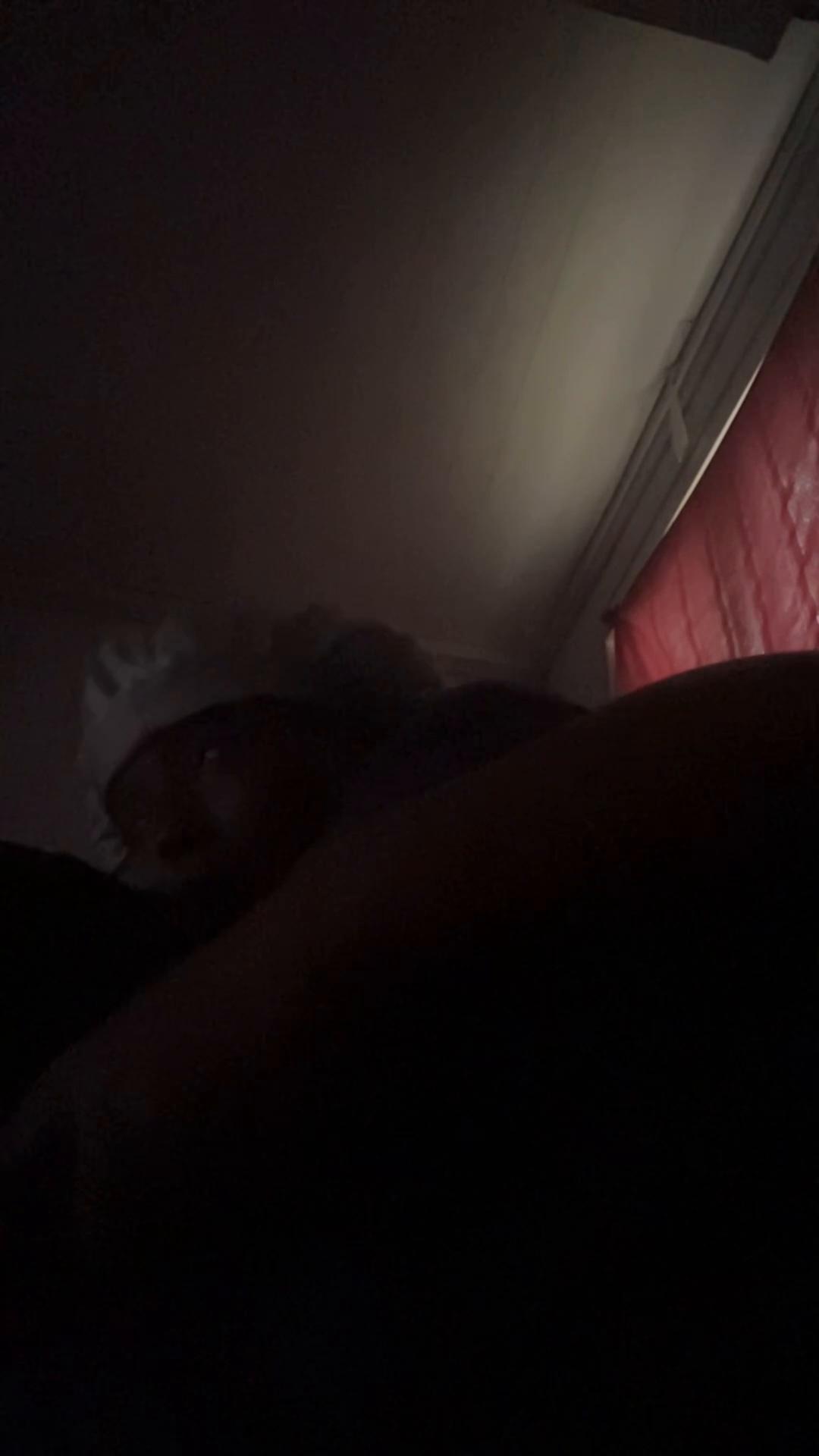 @lifewithluluandhawk6