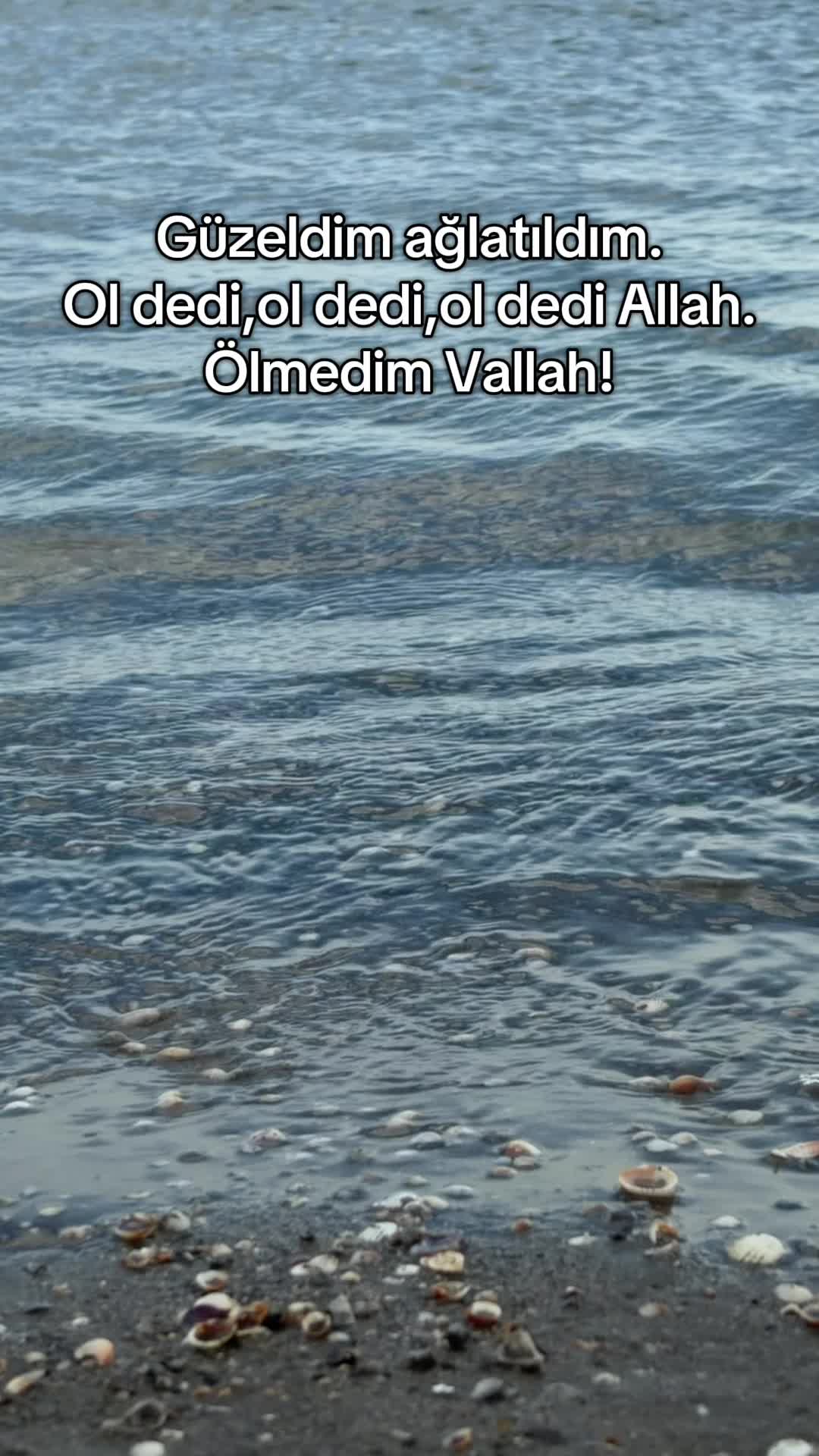 @İrade Hacieli