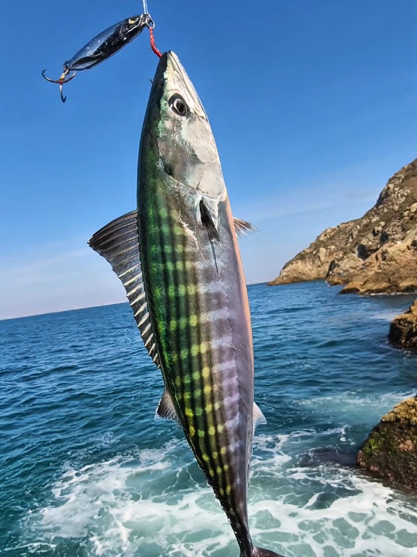@Alex el Pescador🔥