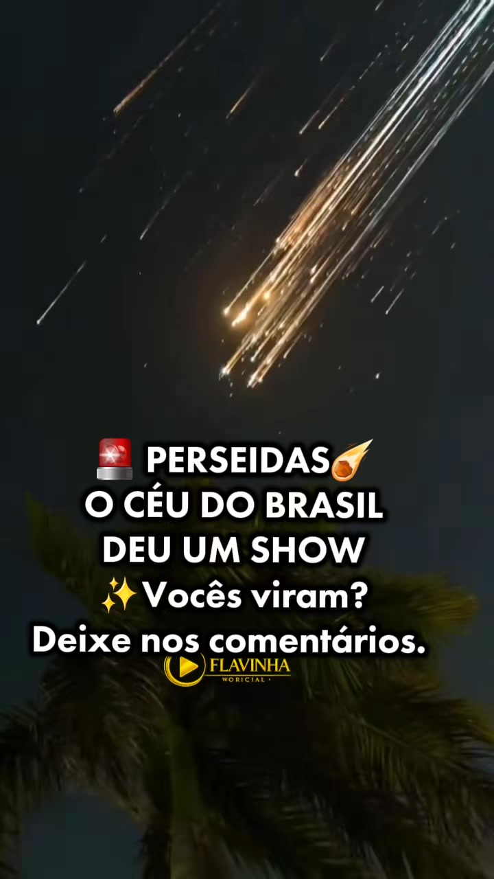 @✨️Flavinha⚡️🏆