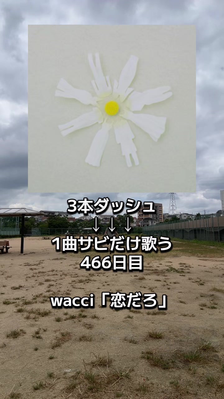 @すゑ🌻🐸