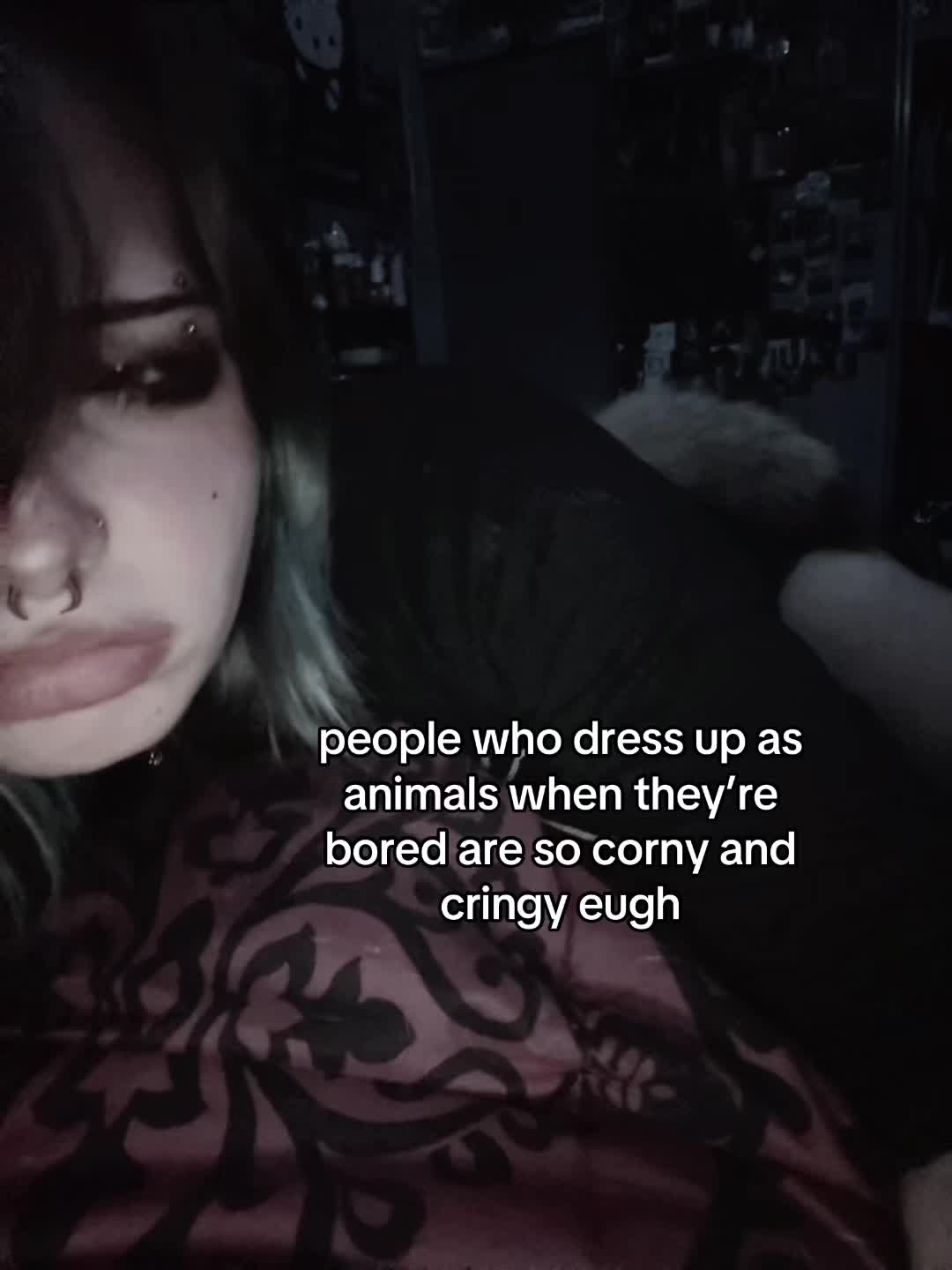 @🐾